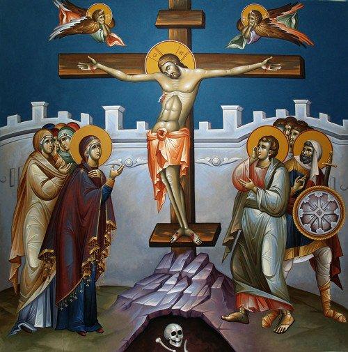 Starwsis Kuriou 3987